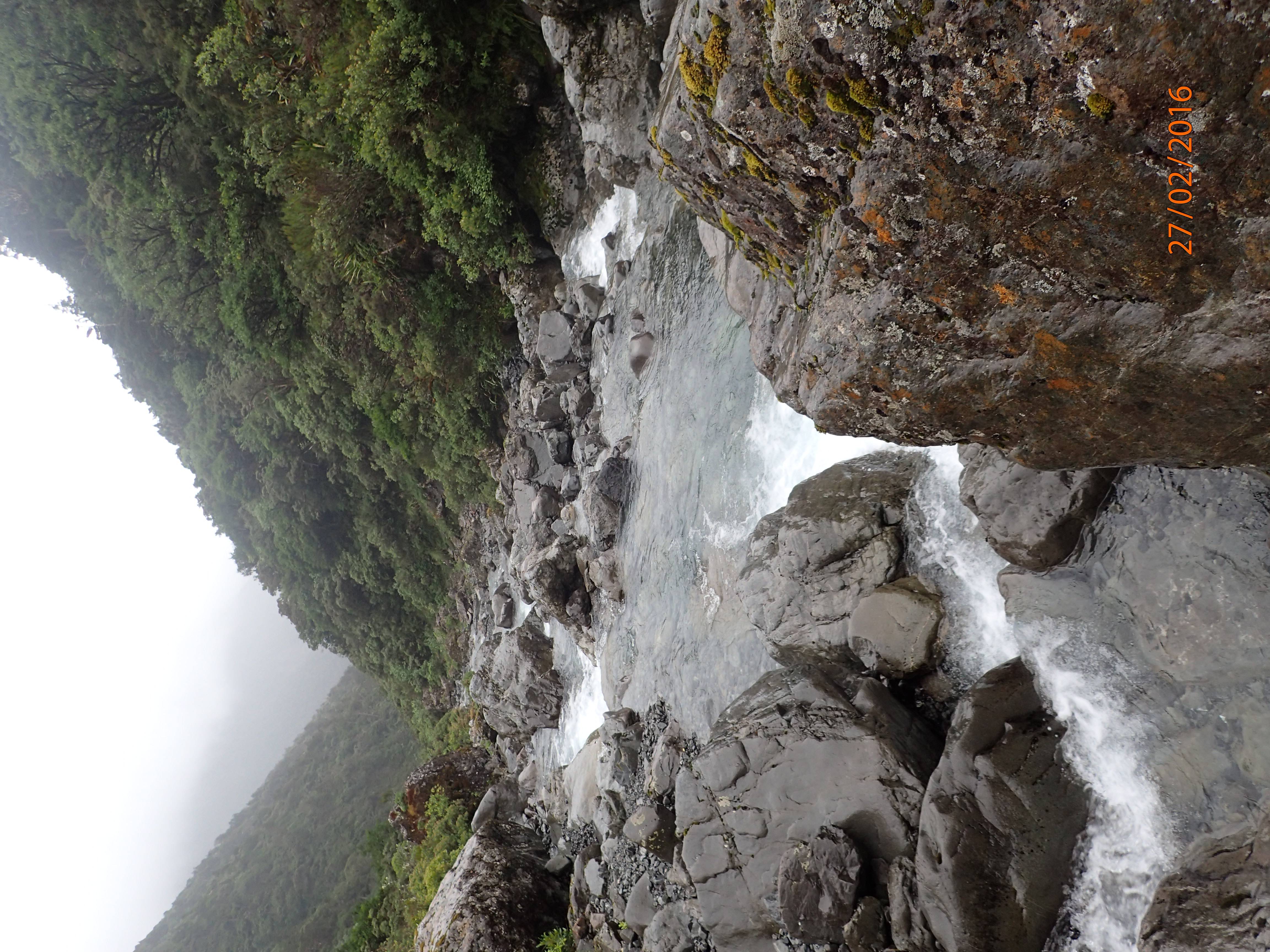 Deception River, West Coast, New Zealand