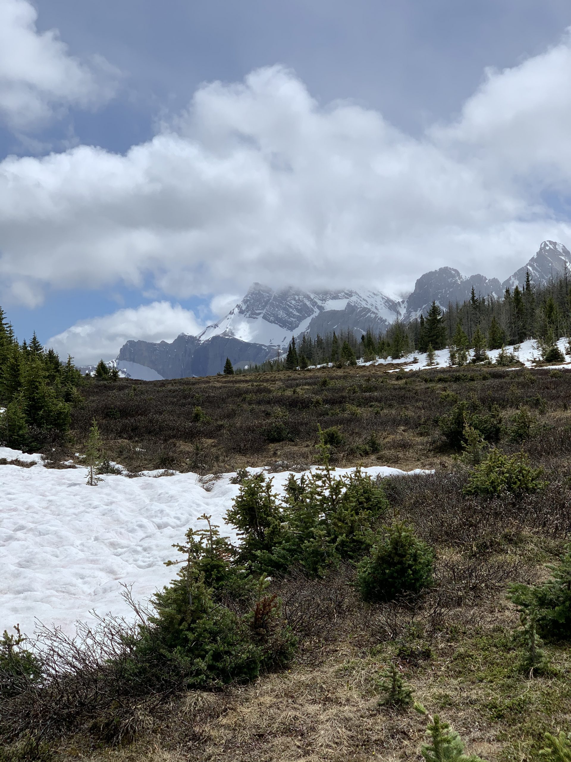 Little Elbow Trail, Kananaskis, AB T0L, Canada